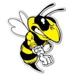 Mad Wasp Radio